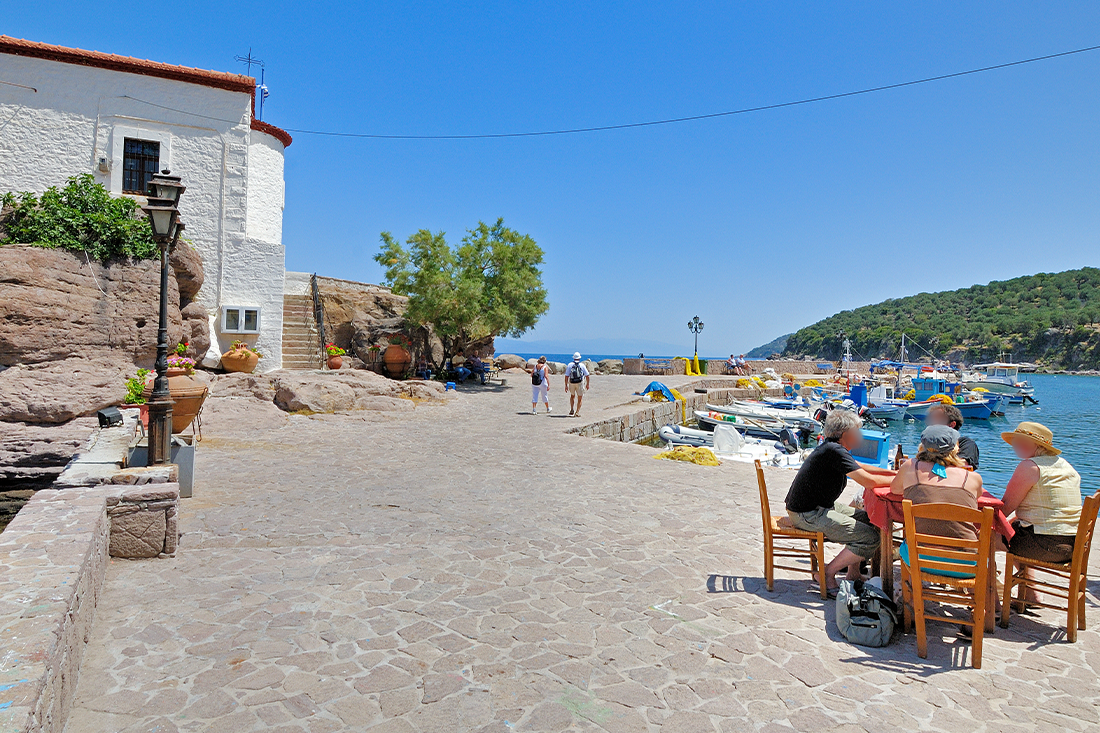 sykamnia_skala_03 ag (4).png