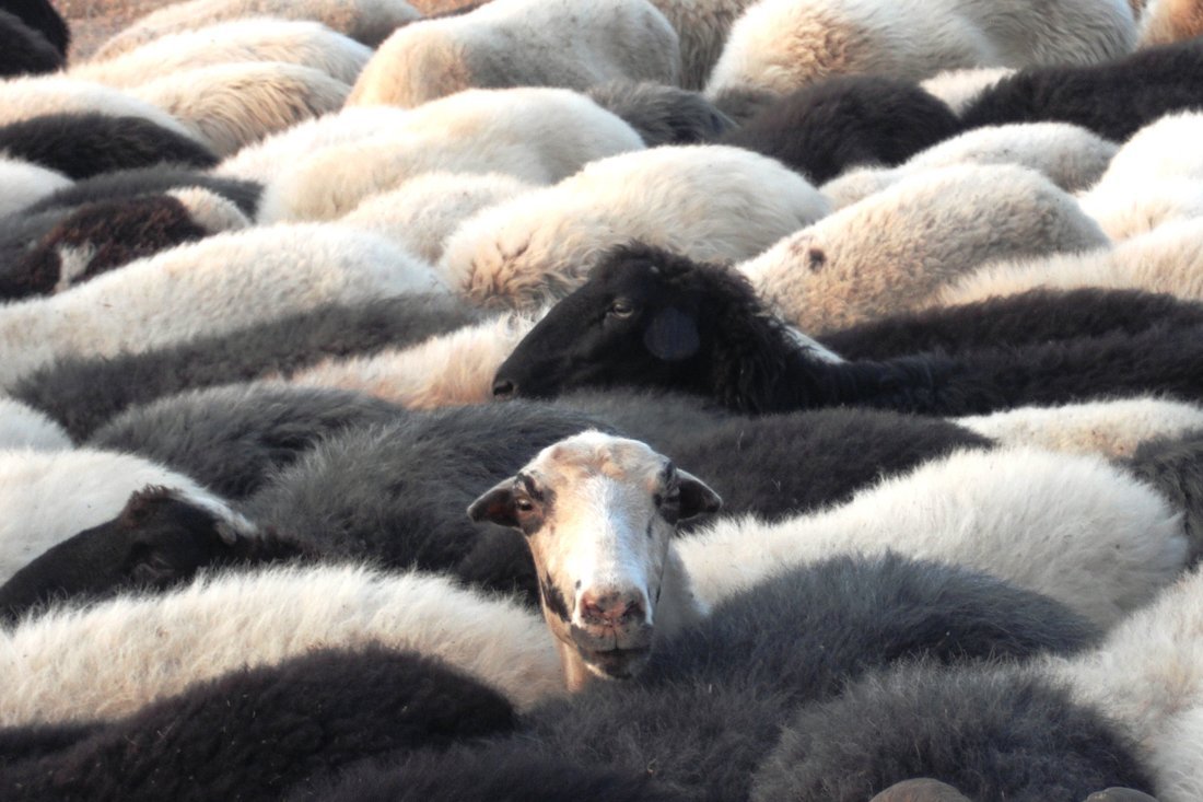 lesbos_fotosgasten (32).jpg