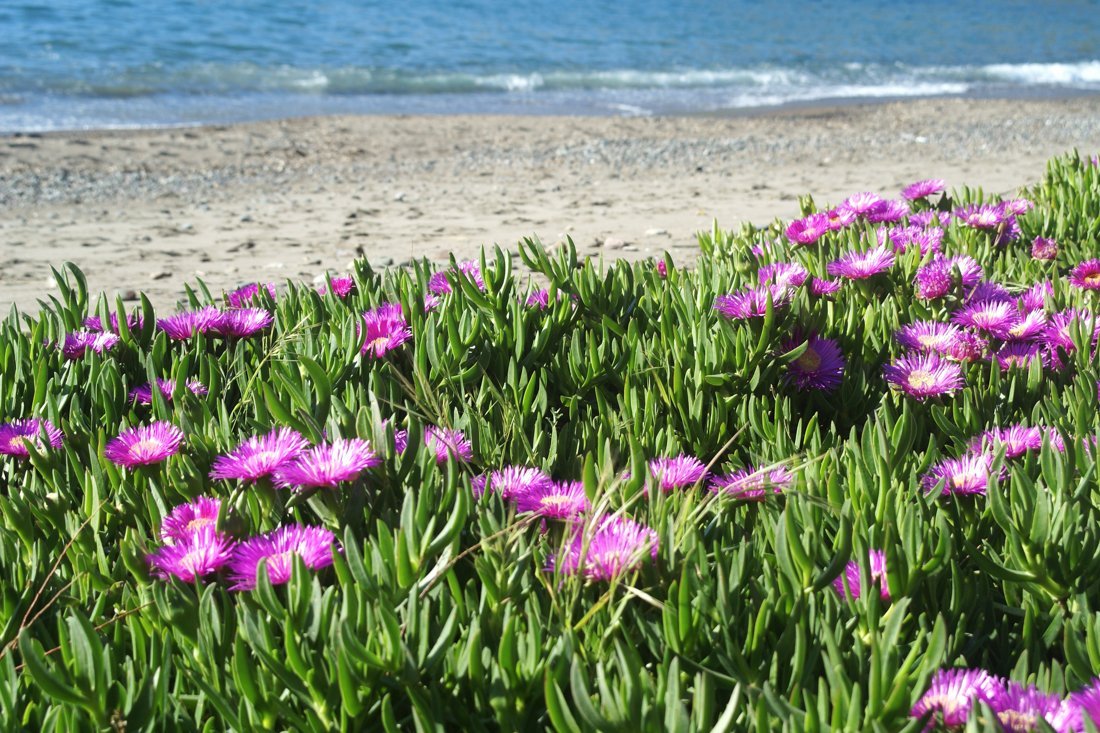 lesbos_fotosgasten (12).jpg