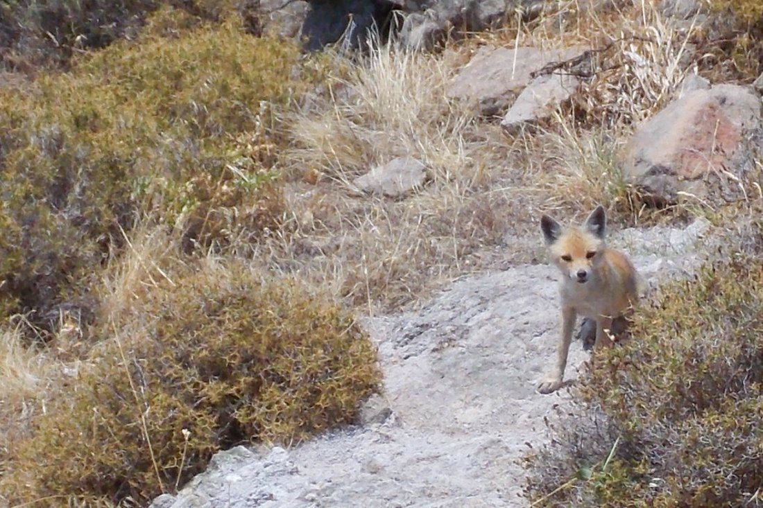 lesbos_fotosgasten (18).jpg