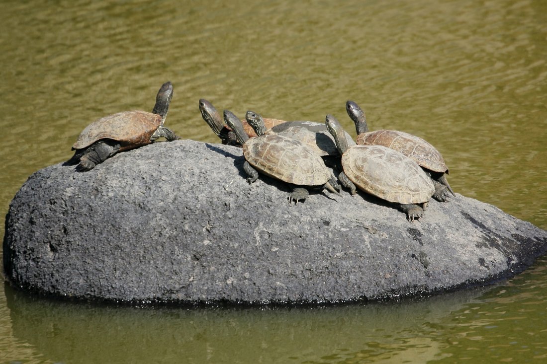 lesbos_fotosgasten (6).jpg