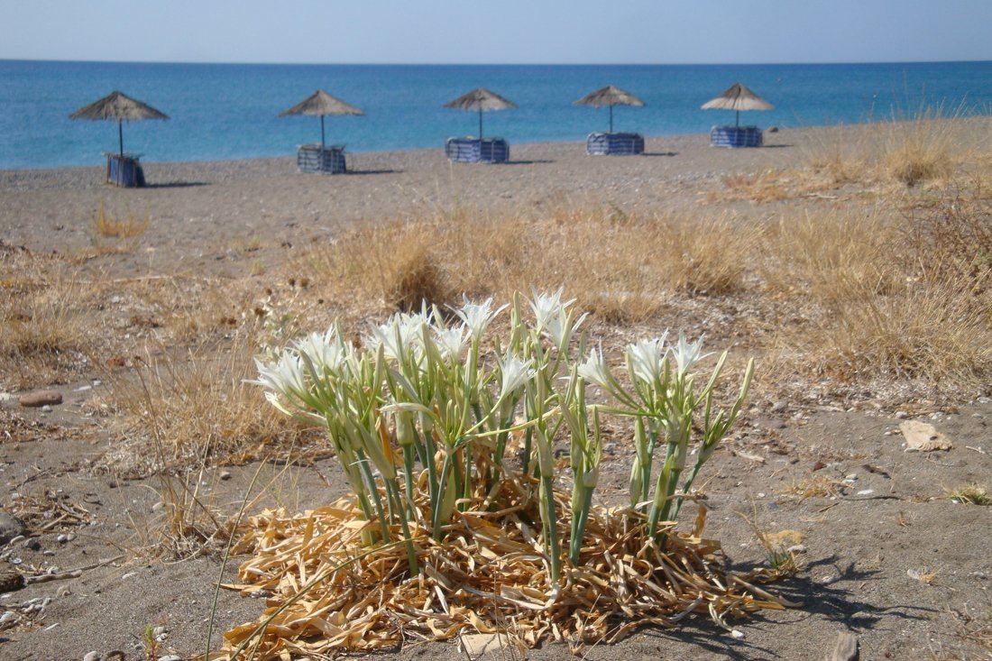 lesbos_fotosgasten (33).jpg