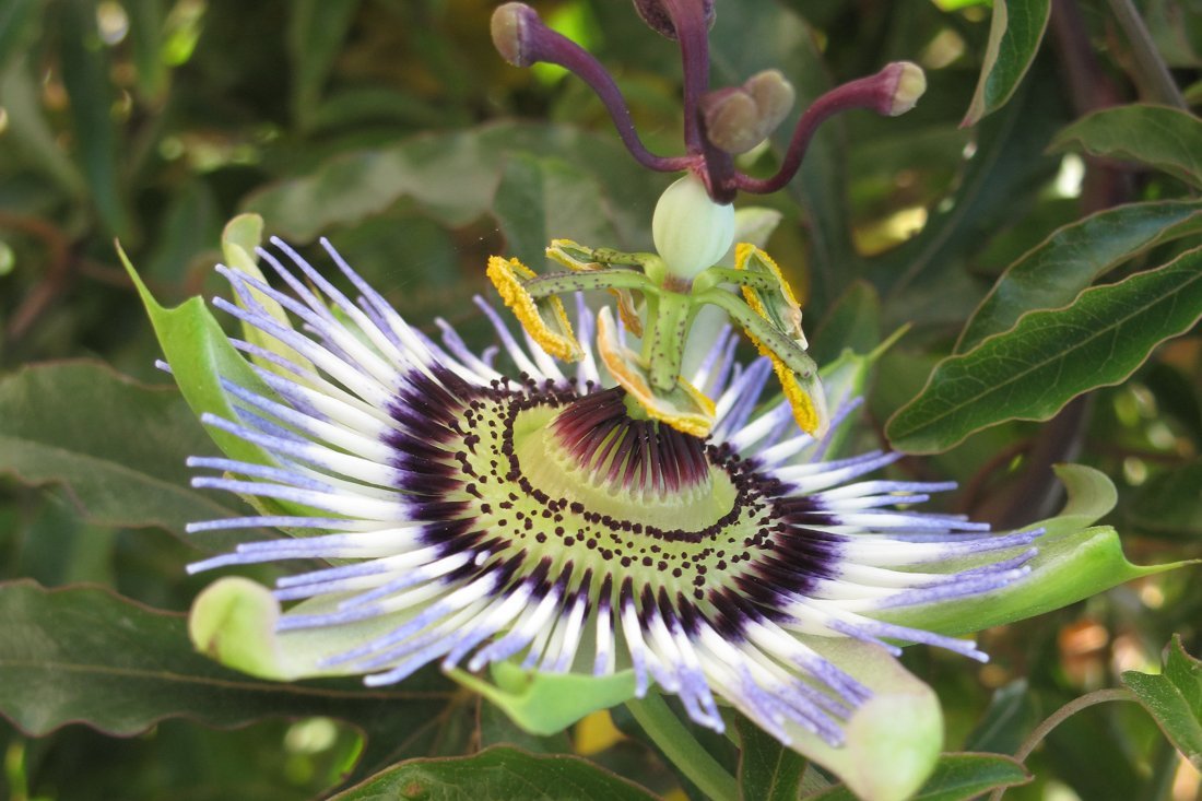 lesbos_fotosgasten (9).jpg