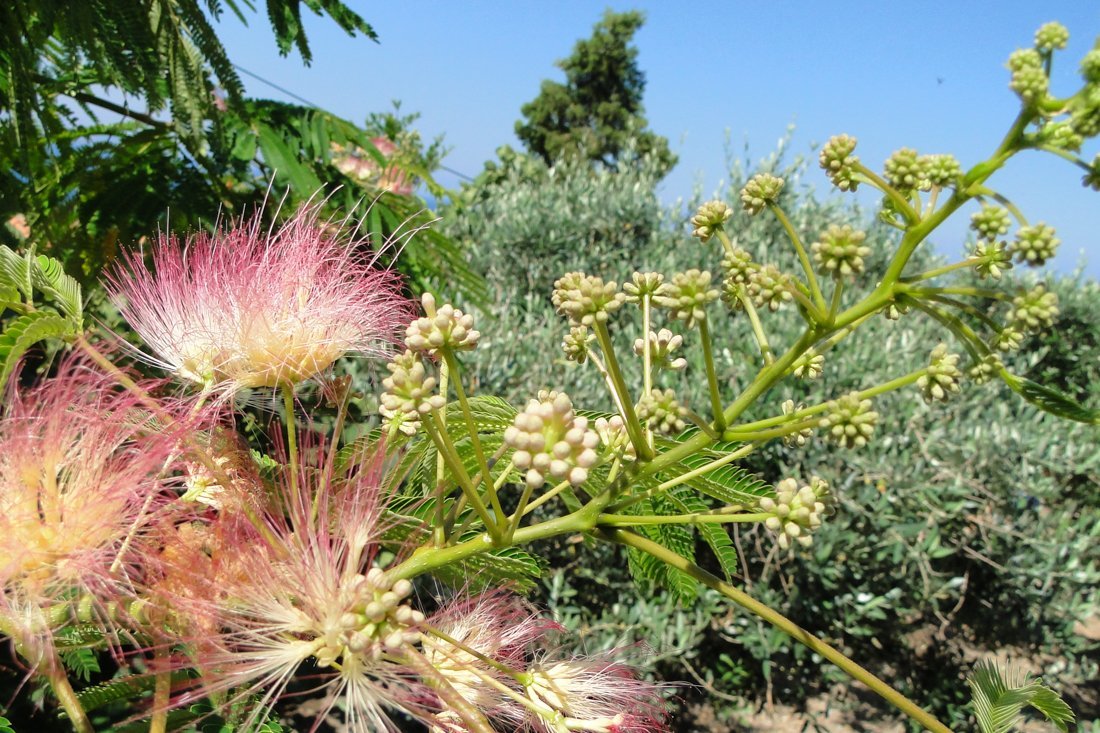 lesbos_fotosgasten (28).jpg