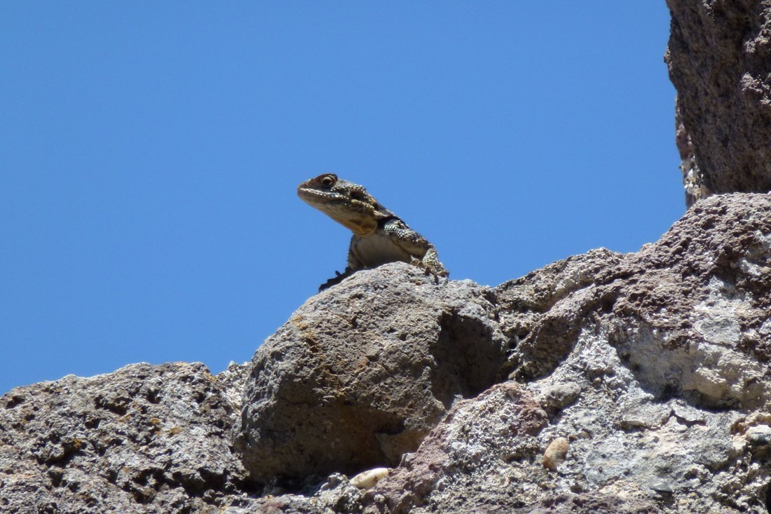 lesbos_fotosgasten (15).jpg