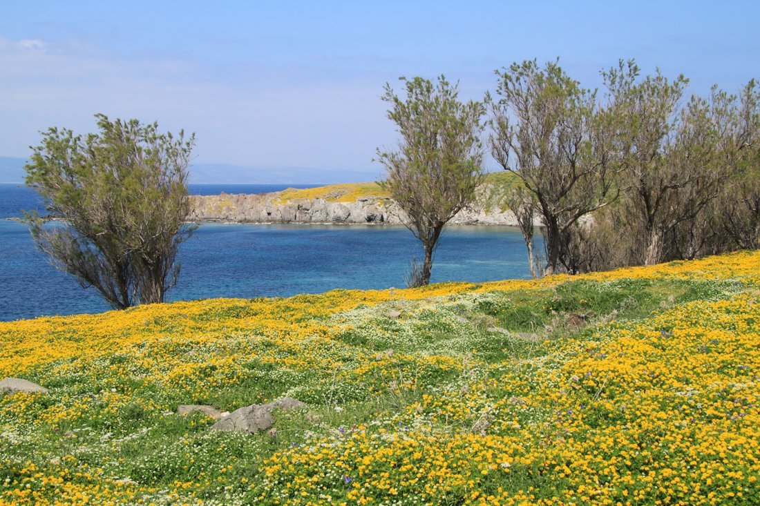 lesbos_fotosgasten (3).jpg