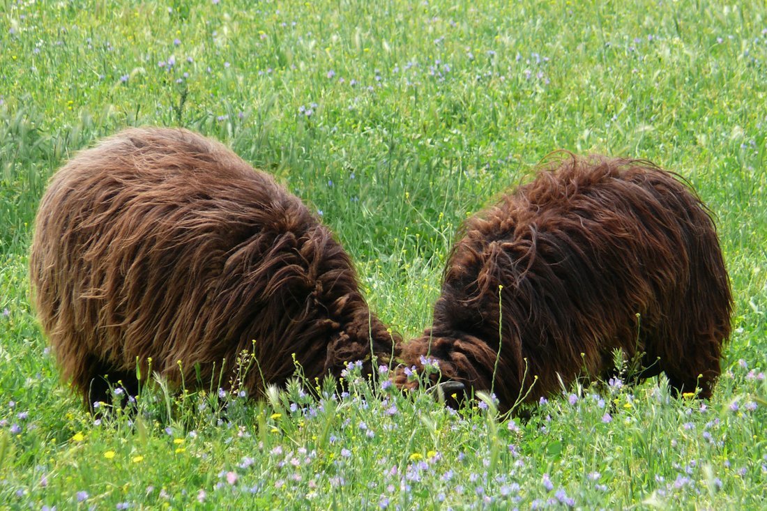 lesbos_fotosgasten (7).jpg