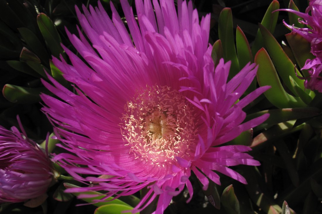 lesbos_fotosgasten (8).jpg