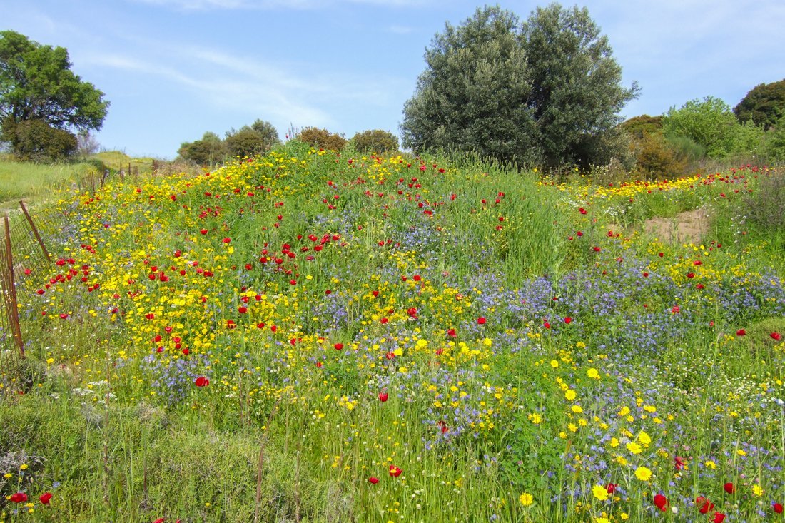 lesbos_fotosgasten (5).jpg