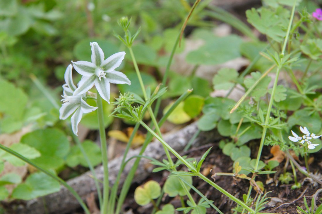 lesbos_fotosgasten (4).jpg