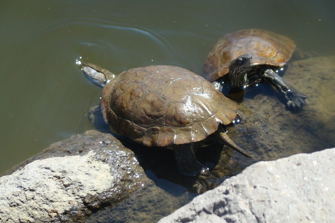 lesbos_fotosgasten (14).jpg