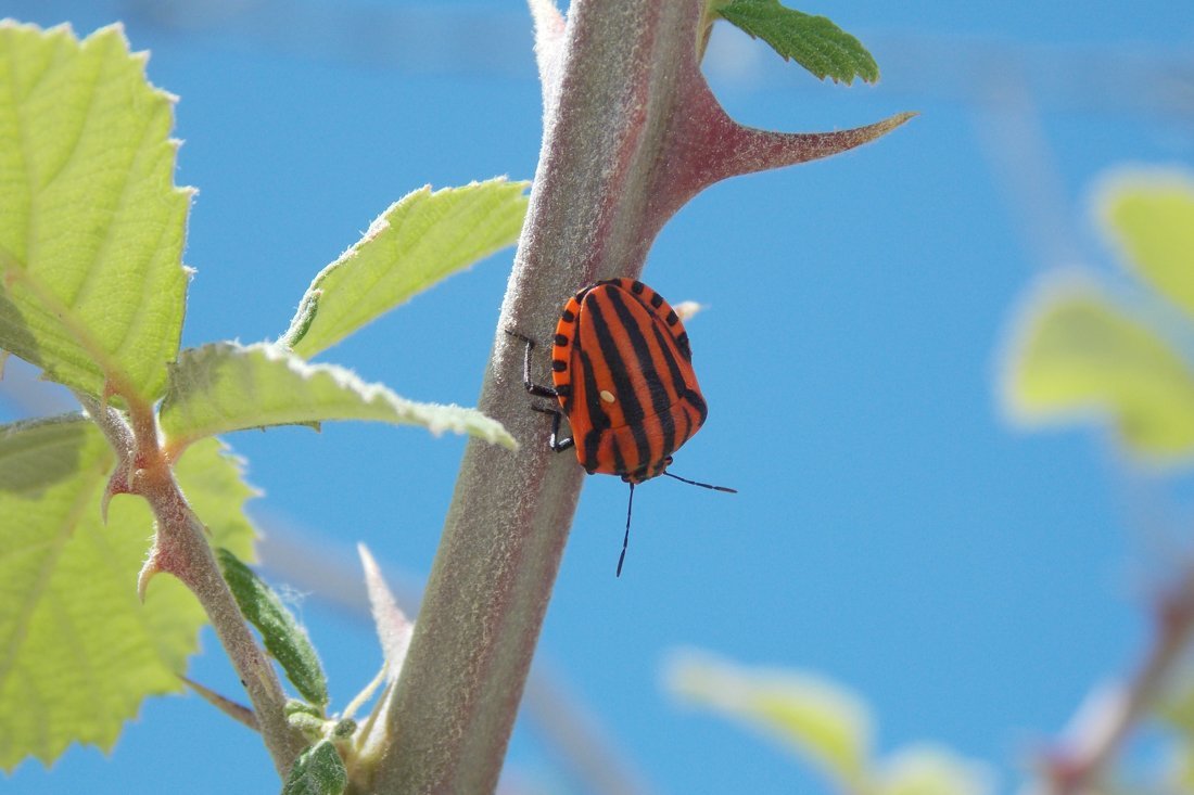 lesbos_fotosgasten (19).jpg