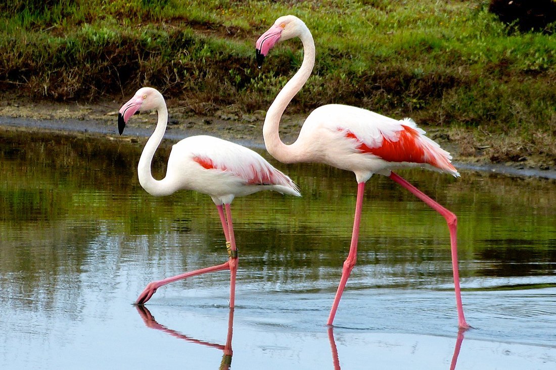 lesbos_fotosgasten (30).jpg