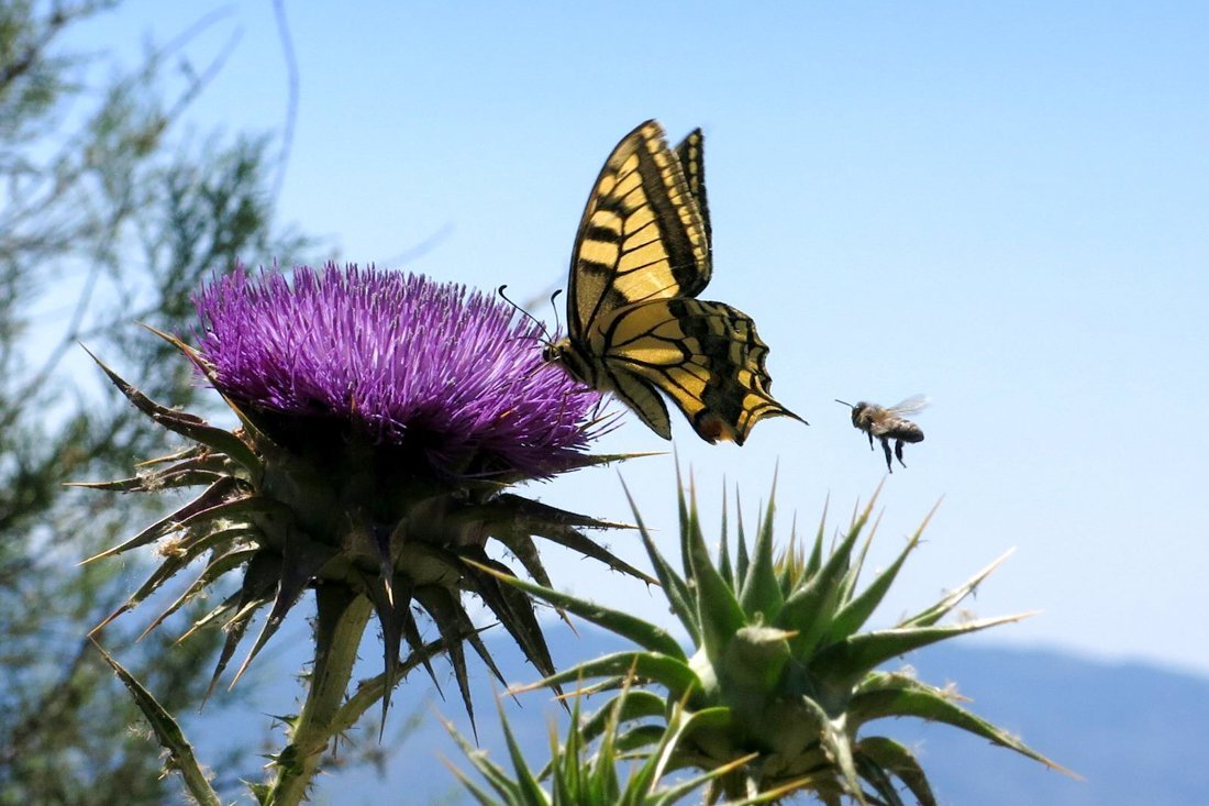 lesbos_fotosgasten (26).jpg