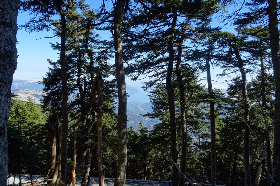 aenos_fotogasten (3).jpg