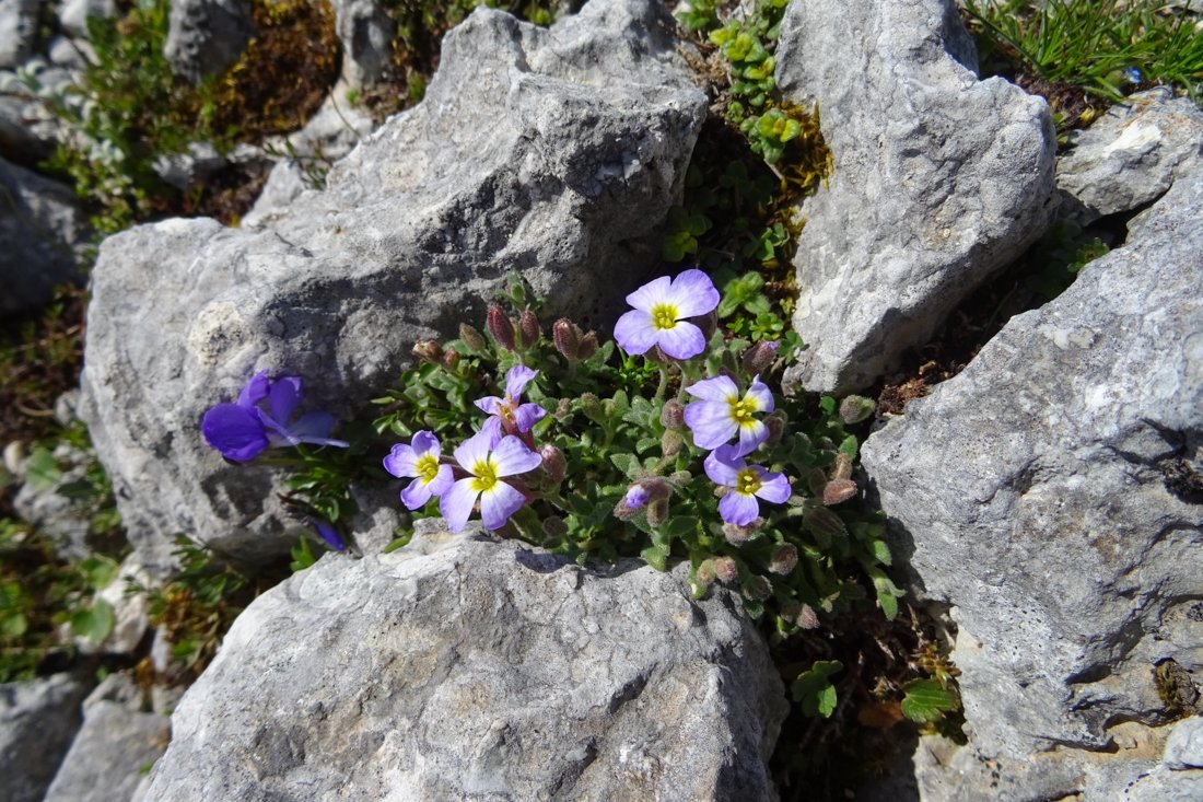 aenos_fotogasten (6).jpg