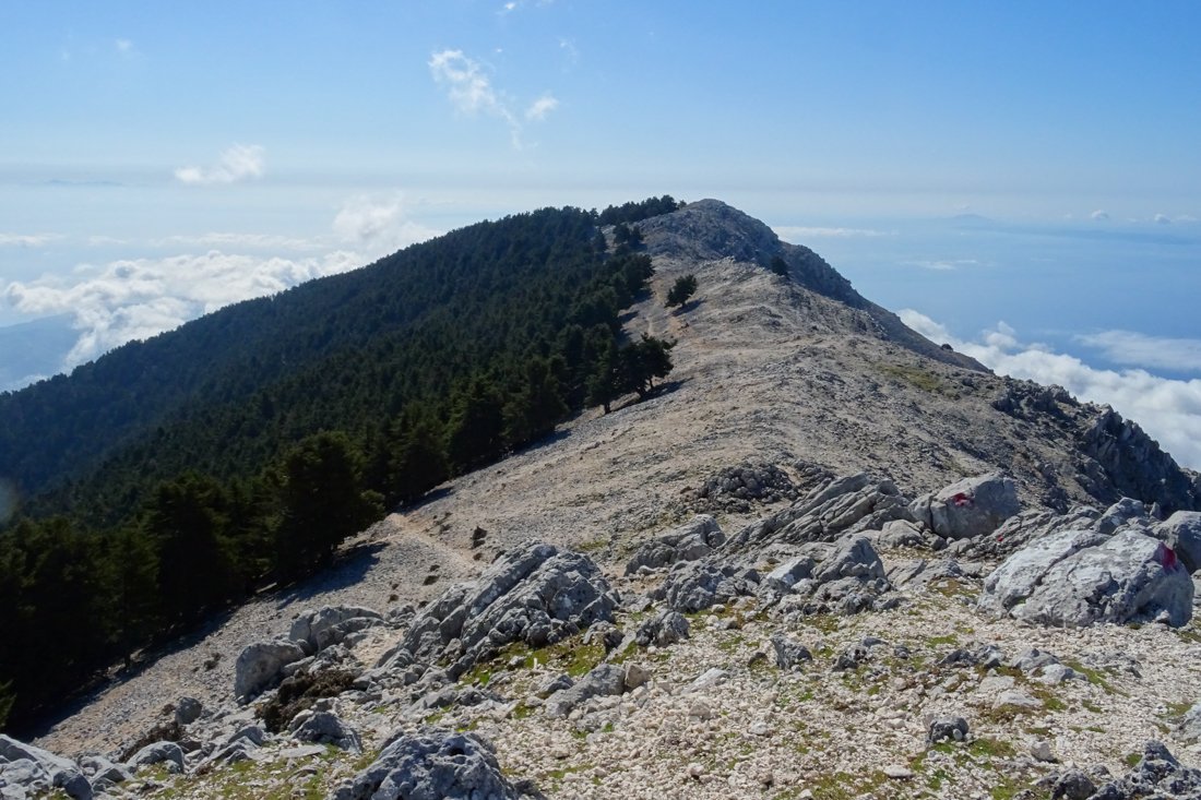 aenos_fotogasten (5).jpg