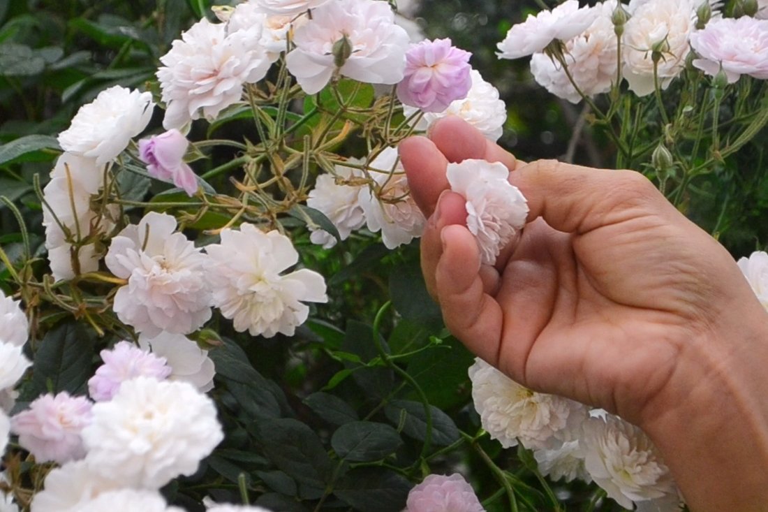 fisika_wk_overigefotografen (22).jpg