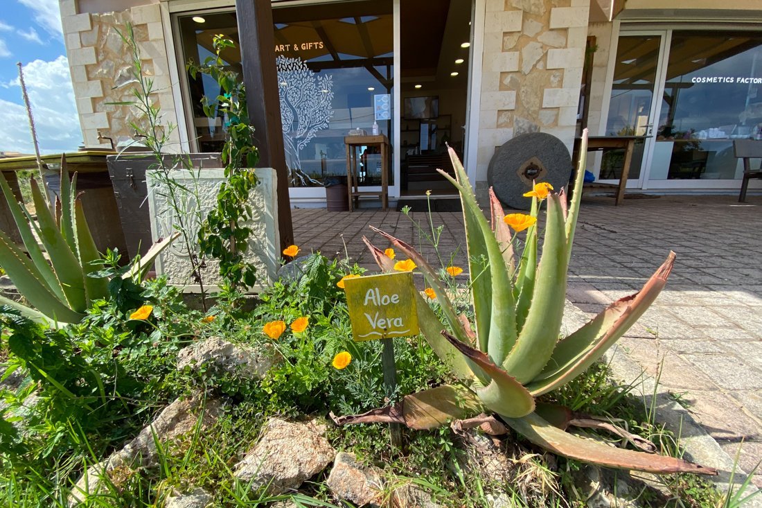 fisika_wk_overigefotografen (25).jpg