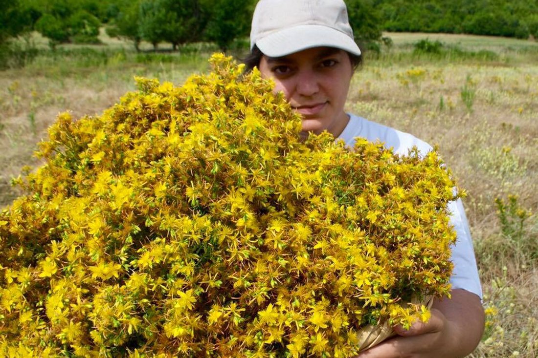 fisika_wk_overigefotografen (11).jpg