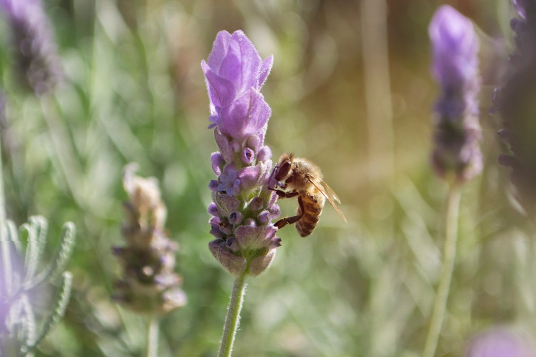 fisika_wk_overigefotografen (23).jpg