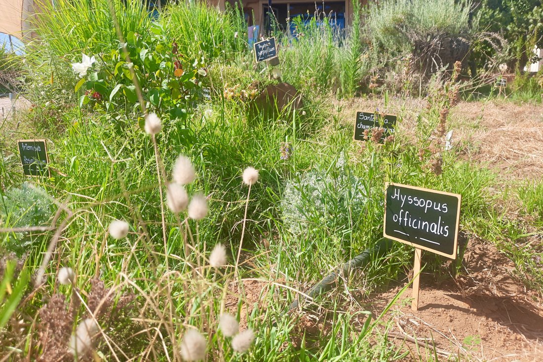 fisika_wk_overigefotografen (2).jpg