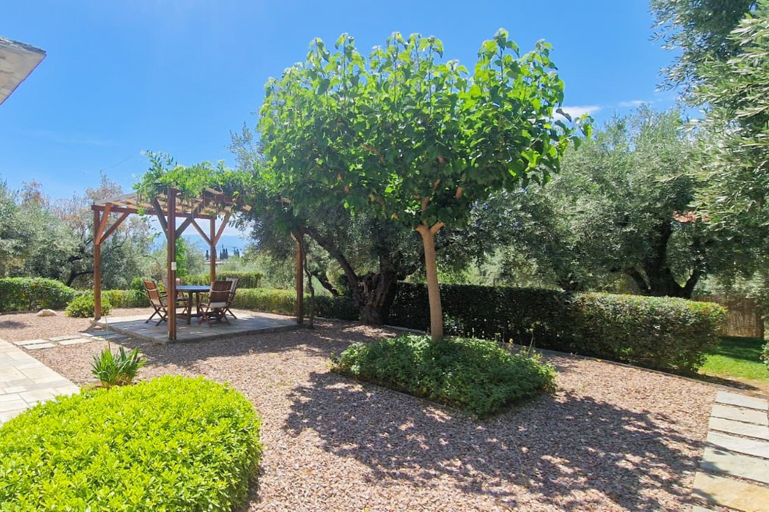 24_pi_elea_ss (1).jpg