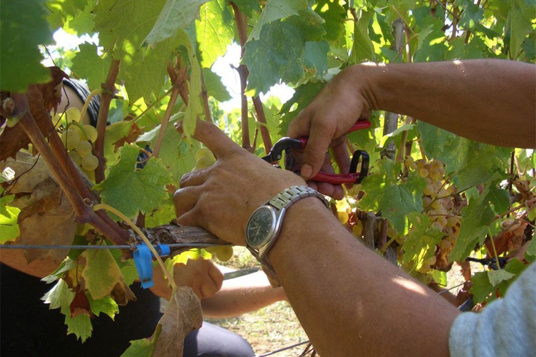 lefkaditi_gi_eigenaar (12).jpg