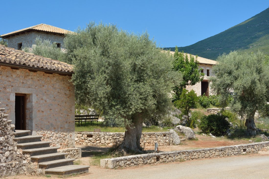 lefkaditi_gi_ag (9).jpg