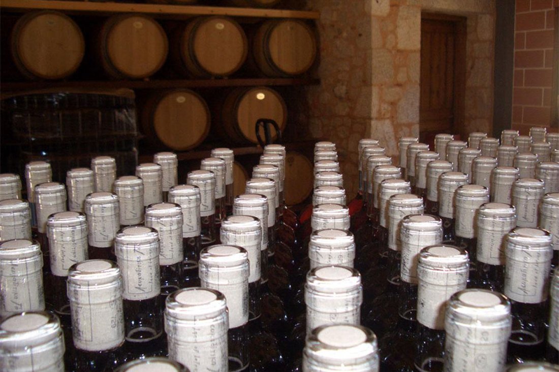 lefkaditi_gi_eigenaar (11).jpg