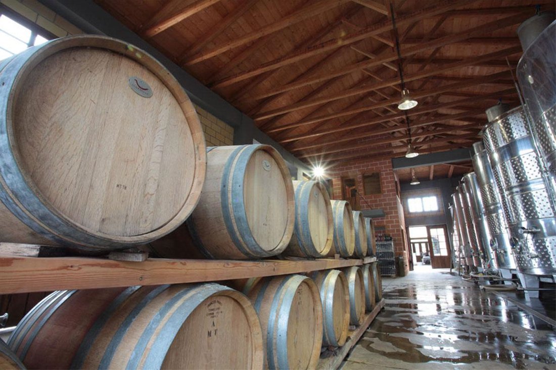 lefkaditi_gi_eigenaar (7).jpg