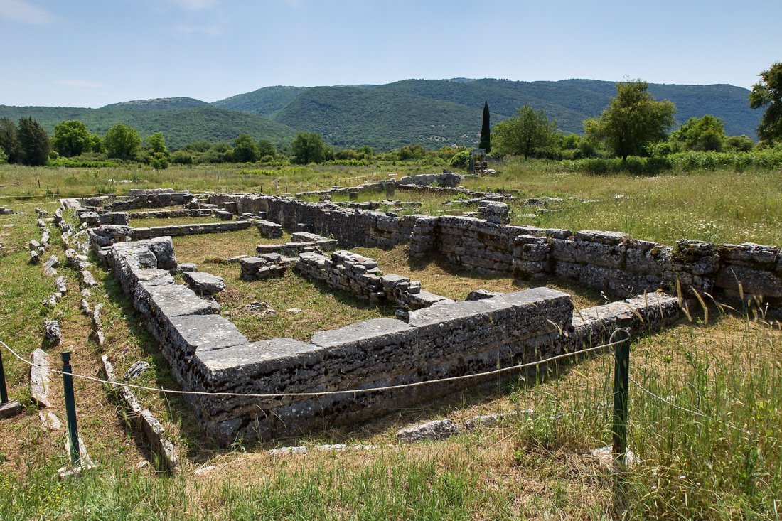 dodoni_ep_st (5).jpg