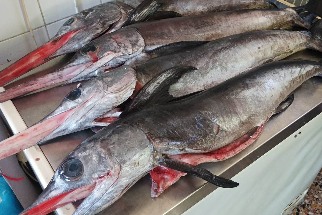 it_yefuri_24_overigefotografen (24).jpg