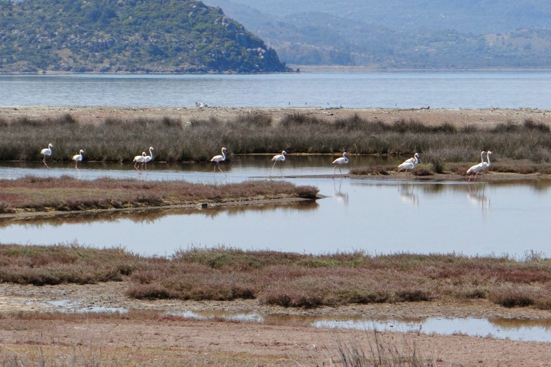 vogels_lb_fotosgasten (6).jpg