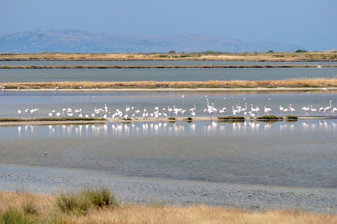 lb_skalakalloni_ag (1).jpg