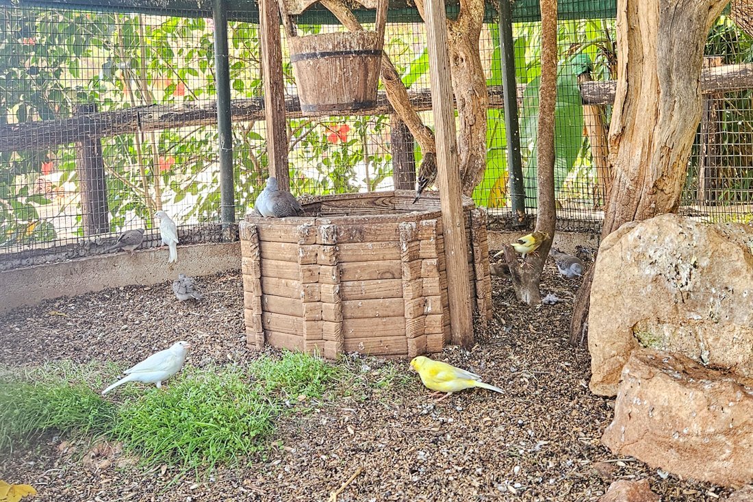 lf_faneromeni_24_ns (18).jpg