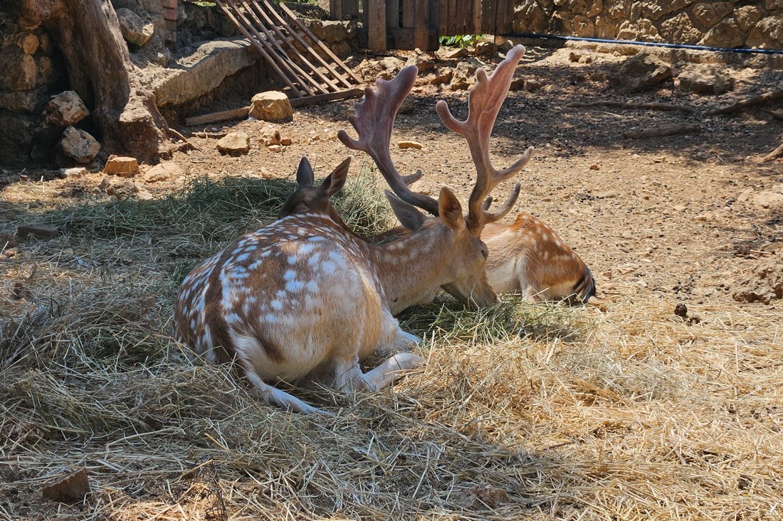 lf_faneromeni_24_ns (17).jpg