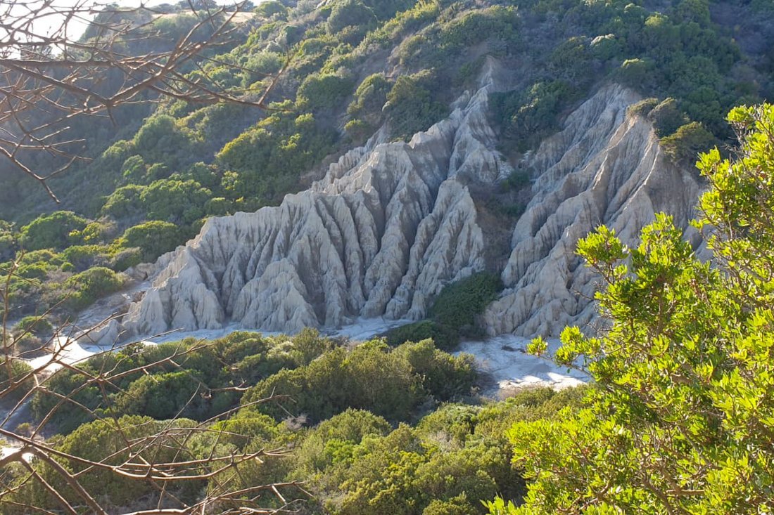 sand_mounatins_rl_nicole (4).jpg