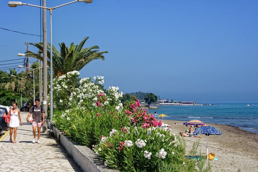 co_roda_24_ag (2).jpg