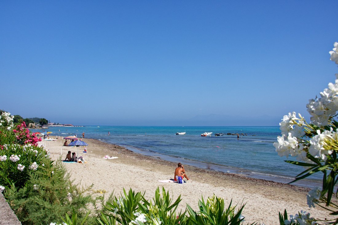 co_roda_24_ag (5).jpg