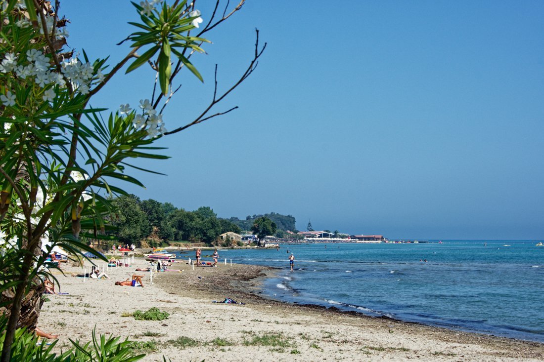 co_roda_24_ag (3).jpg