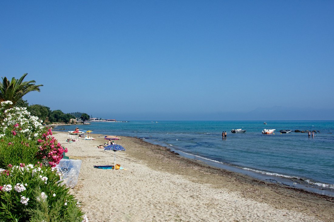 co_roda_24_ag (1).jpg