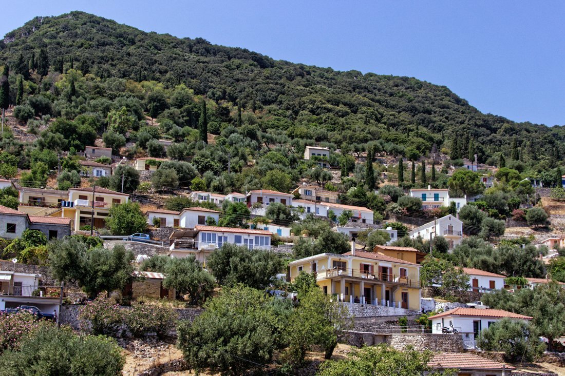 it_perachori_ag (3).jpg