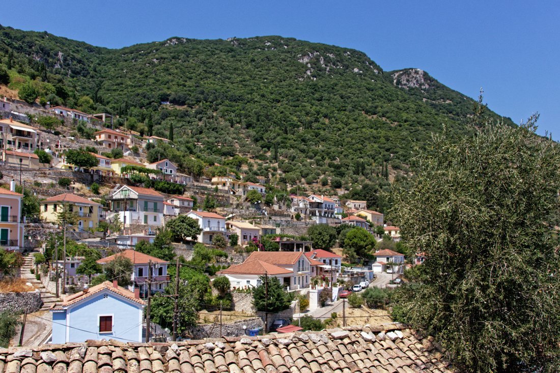 it_perachori_ag (5).jpg