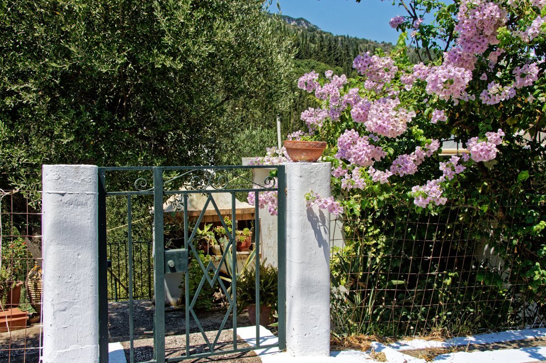 it_perachori_ag (13).jpg