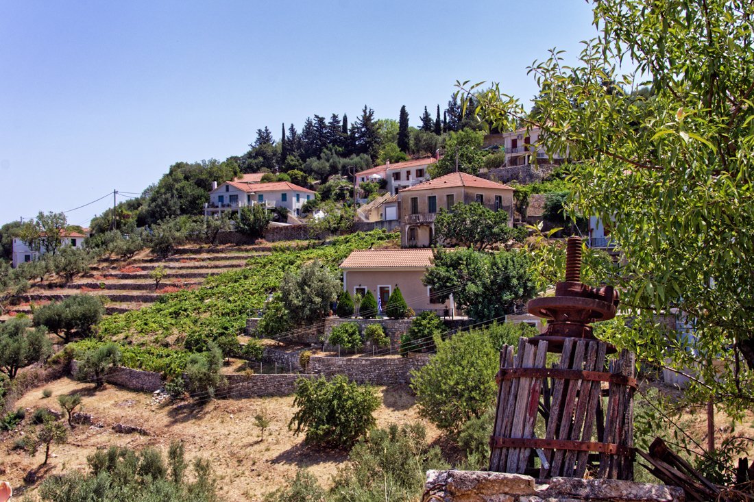 it_perachori_ag (9).jpg