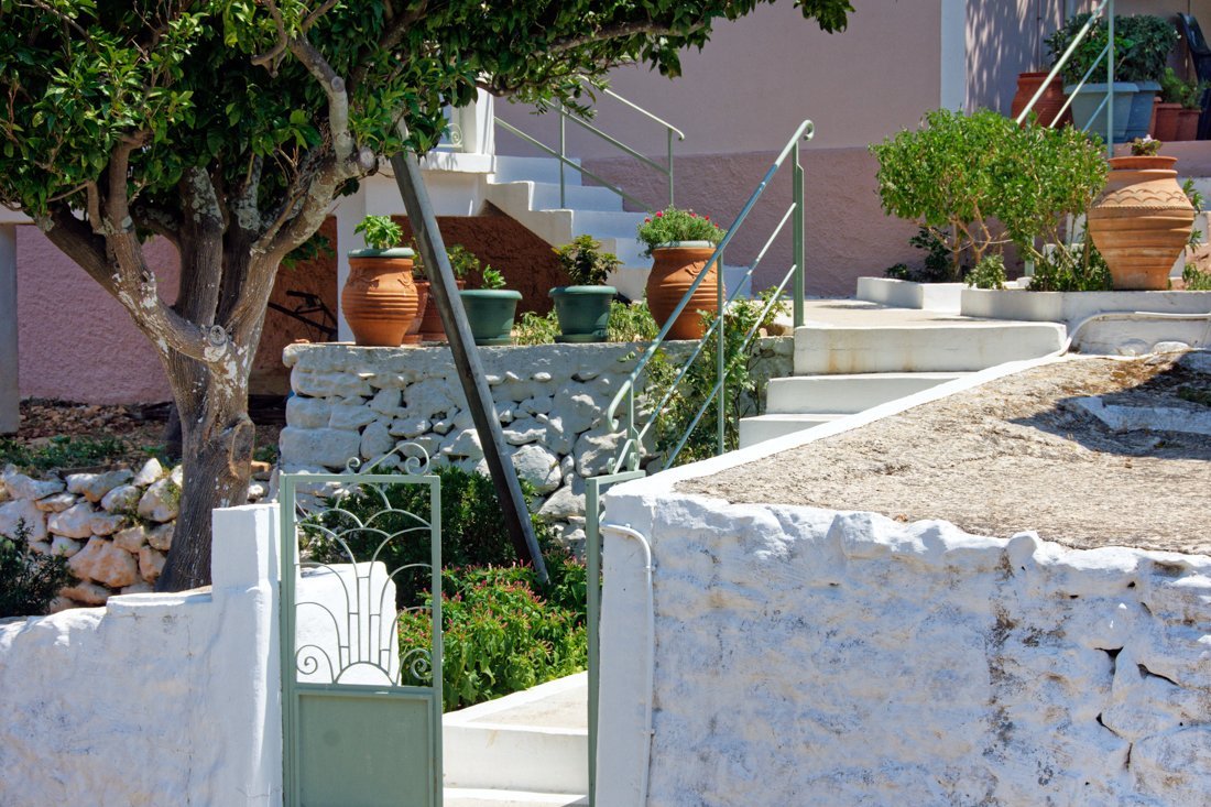 it_perachori_ag (12).jpg