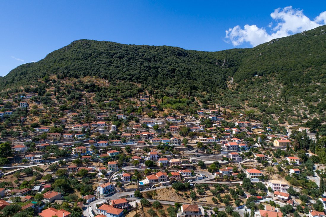 it_perachori_ag (8).jpg