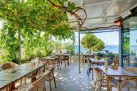 za_belmondo_enigma_24_ag (3).jpg