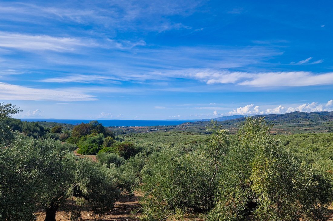 pe_achterland_kalonero_24_cb (9).jpg